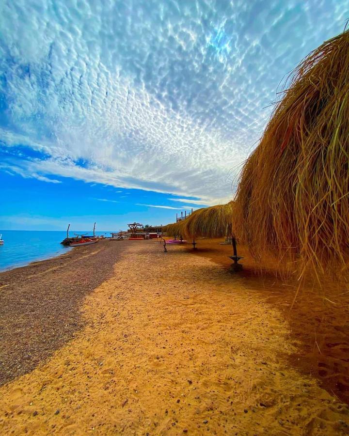 Hotel sea horse Nuweiba` Exterior foto