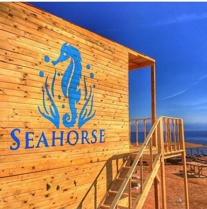 Hotel sea horse Nuweiba` Exterior foto